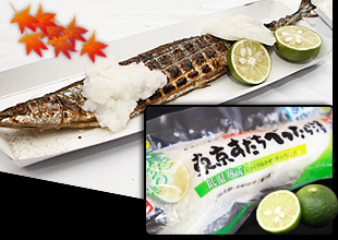 第16回 目黒のさんま祭り