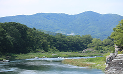 秩父のおいしい水を活かしたこんにゃく「日本橋にいたか屋 秩父工場」のご紹介