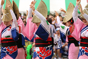 徳島県は阿波踊りや 特産品を会場でPR